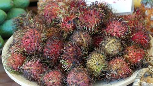 Rambutan Fruits Fruit Delicious Healthy Vitamins