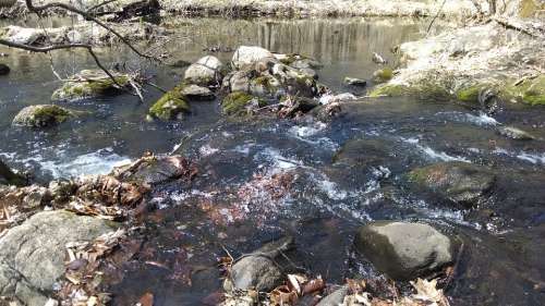 Rapids Water Stream Nature
