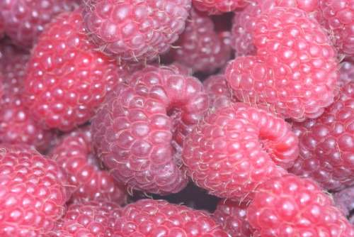 Raspberries Berries Red Food Fruit Fruits