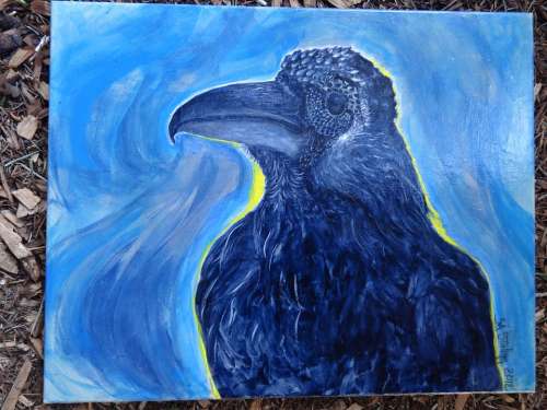 Raven Crow Bird Feathers Painting Acrylic