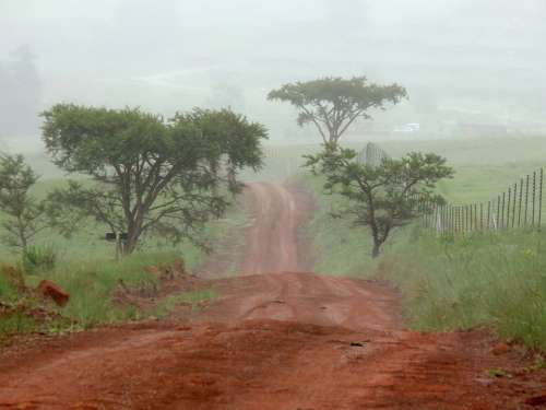Red Earth Road Veldt Mist South Africa