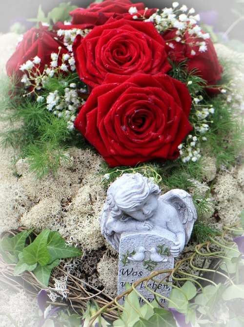 Red Roses Rose Angel Symbol Love Thanks
