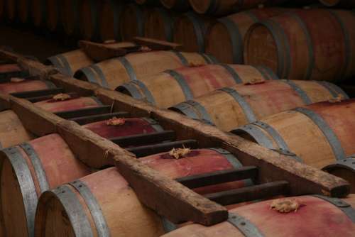 Red Wine Winery France Bordeaux Storage Barrel