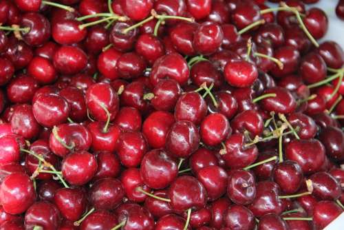 Red Cherries Fruit Cherry Cherries Fruits Spring