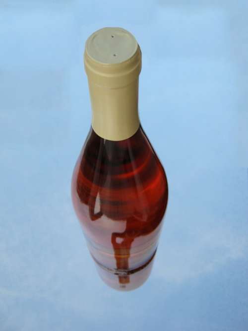 Red Wine Wine Red Wine Bottle Bottle Drink Alcohol