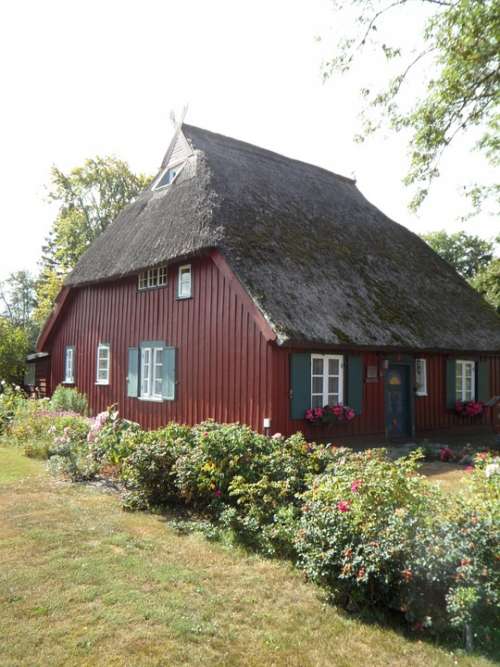 Reed Darß Baltic Sea House Red