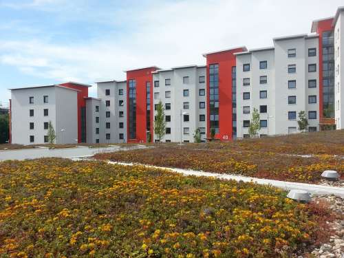 Rehabilitation New Building Green Roof Red White