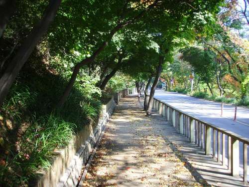Republic Of Korea Road Landscape Scenery Nature