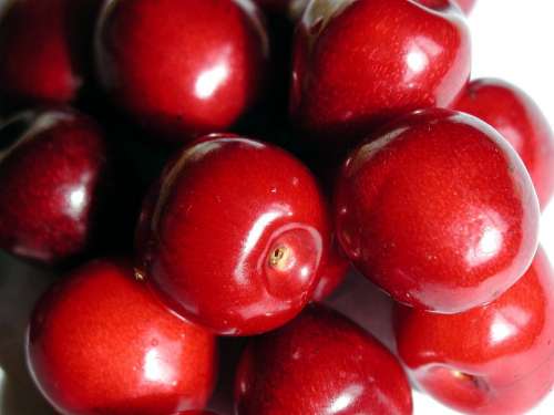 Resolution High Friut Fruit Cherry Fruits Plants