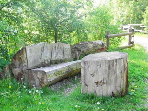 Resting Place Rest Bank Wood Landscape