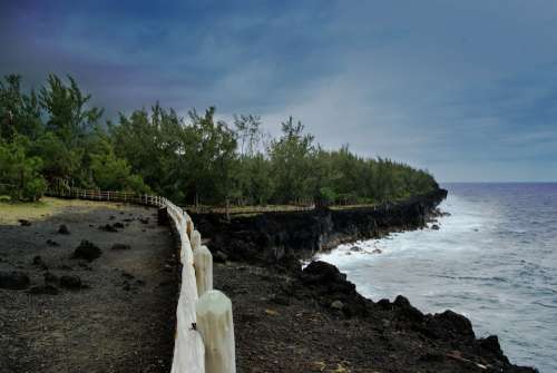 Reunion Island Lava Sea Sky Tree Ocean Blue Side