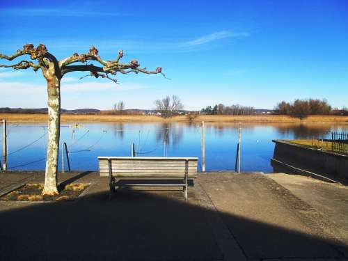 Rhine Bench Sycamore Recovery Rest Idyllic Water