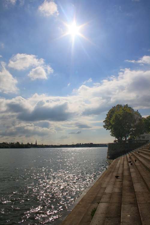 Rhine Rhine River Mainz Germany Nature Sunlight