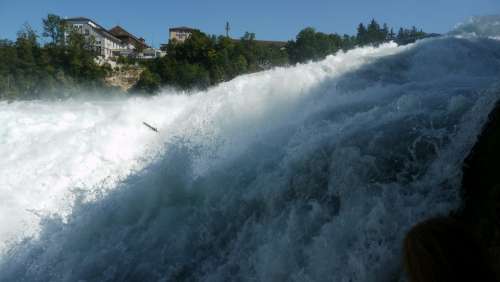 Rhine Falls Schaffhausen Waterfall Roaring