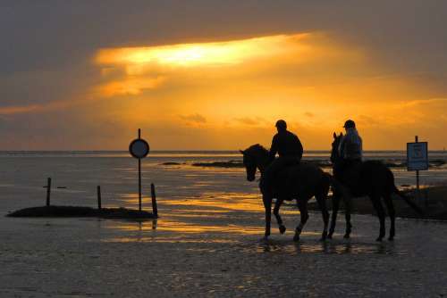 Ride Reiter Horses North Sea Sunset Nordfriesland