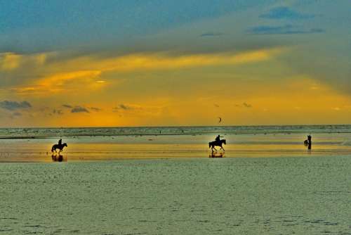 Ride Reiter Horses Gallop North Sea Sunset