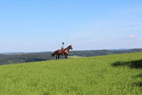 Ride Equestrian Nature Horse Landscape