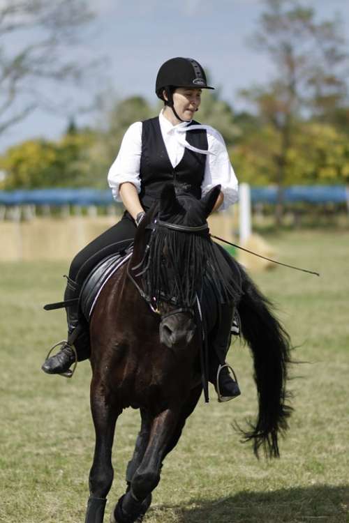 Ride Equestrian Dressage Woman Horse Sport
