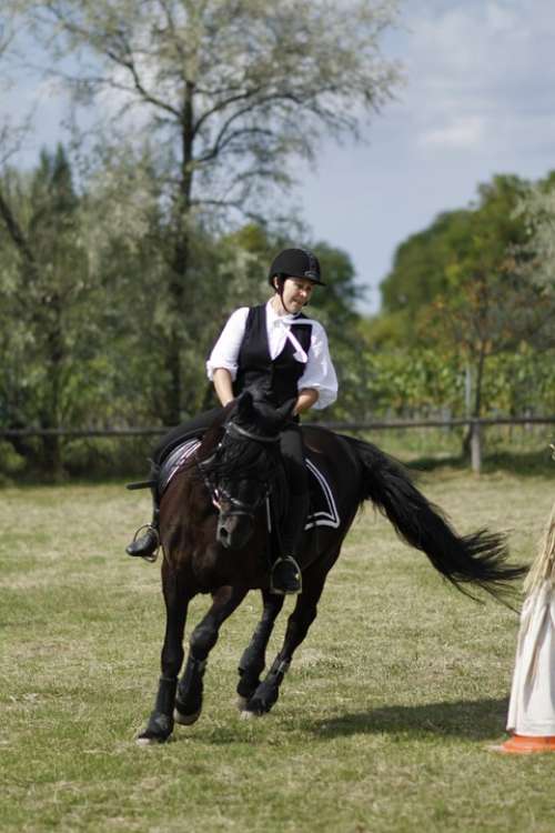 Ride Equestrian Dressage Woman Horse Sport