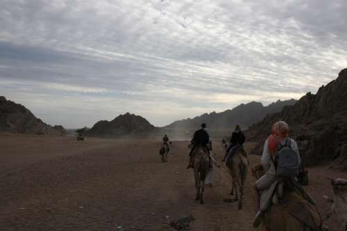 Riding Camel Egypt Adventure Desert Africa