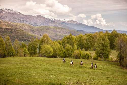 Riding Nature Animals Horses Italy Mountain