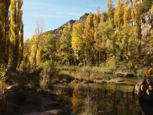 River Poplars Reflection Water Landscape Nature