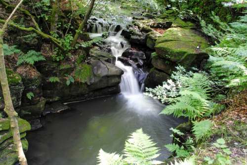 River Healey-Dell Nature Water Stream Foliage