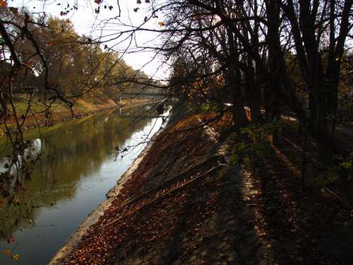 River Leaves Autumn Wood Bough Foliage Part