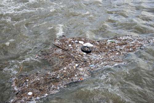 River Water Garbage Dirt Waste Pollution Nature
