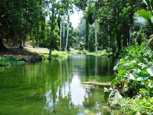 River Idyll Landscape Tree Idyllic