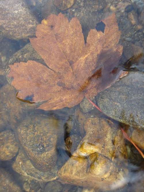 River Water Sheet Wet Nature