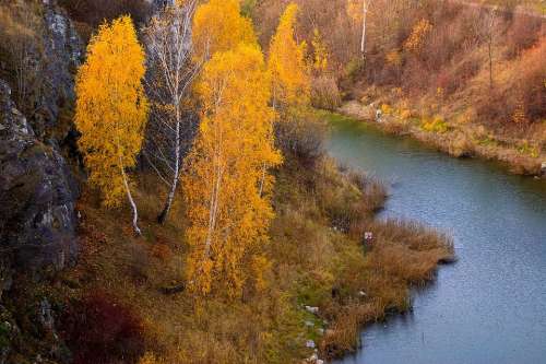 River Water Nature Landscape Tree Poland Autumn