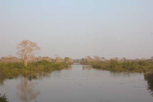 River Stream Lake Water Angkor Peaceful Tranquil