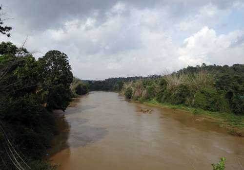 River Cauvery Kaveri Monsoon Flow Kodagu India