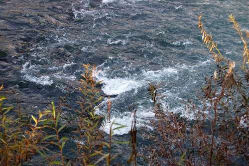 River Flow Spray Water Nature Rapids Shrubs