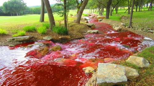 River Red Color Blood River Darrel Darrel Stilwell