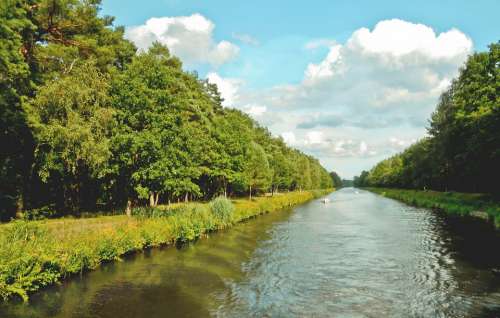 River Water Channel Forest