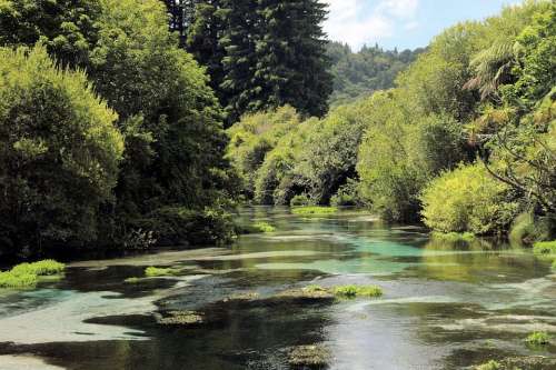 River Scenic Landscape Nature Scenery View Tree