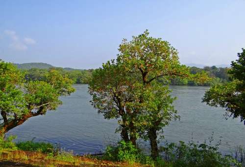 River Kali Mountains Western Ghats Forests Scenic