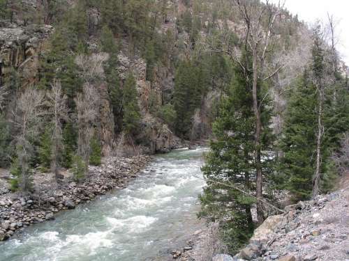River Riverbed Landscape Rocks Water Nature Trees