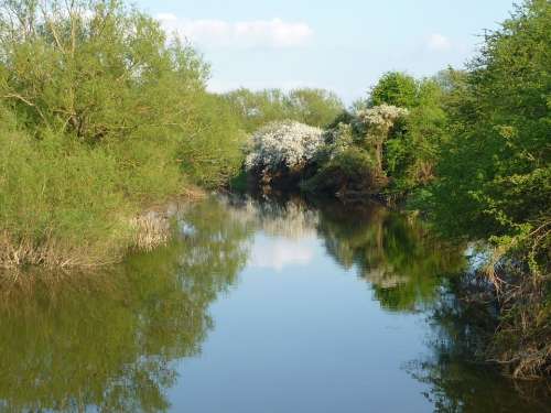 River Cherwell Oxfordshire Nature Reflection River