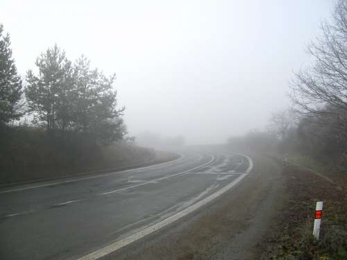 Road Secondary Road Fog Foggy Tree Trees Winter