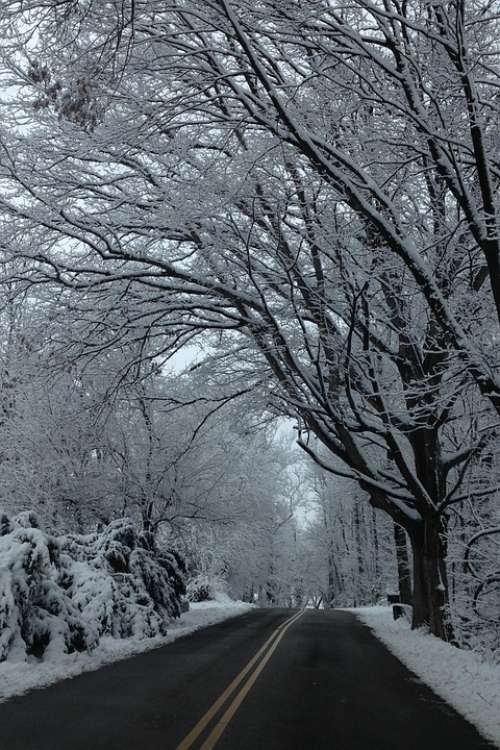 Road Journey Snow Asphalt Winter Winter Season