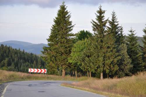 Road Sign Signpost Way Tree Landscape Asphalt
