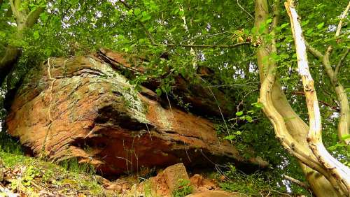 Rock Steep Stone Nature Palatinate Sandstone Rocks