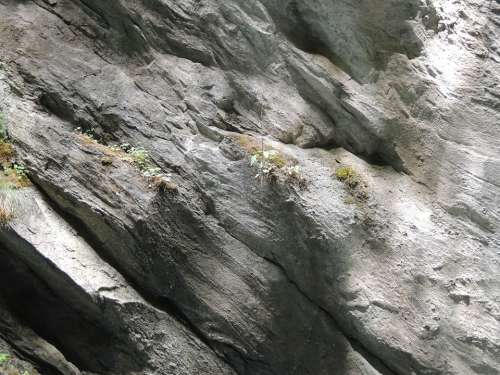 Rock Grey Stones Wall