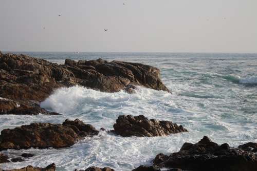 Rock Waves Sea Go To Catfish