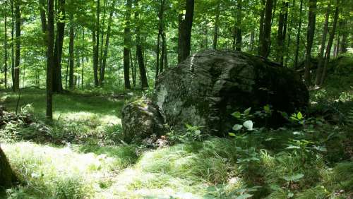 Rock Boulder Forest Woods Nature Stone Woodland