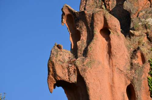 Rock Forms Erosion Stone Bird Corsica Vulture
