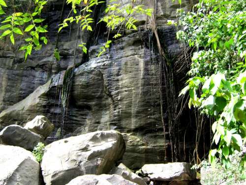 Rock Wall Erosion Nature Landscape Jungle